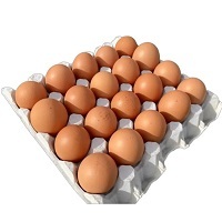 1 x  Size 8 Jumbo Tray of 20 Jumbo Fresh Free Range Eggs