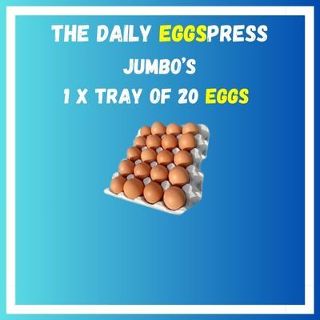 1x Tray of 20 Eggs Jumbo Fresh Free Range Eggs